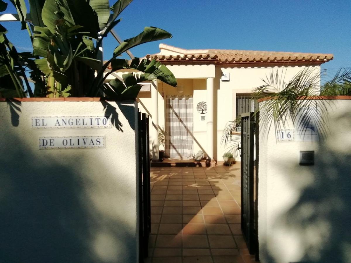 Guest House El Angelito De Olivas Pedreguer Exteriér fotografie